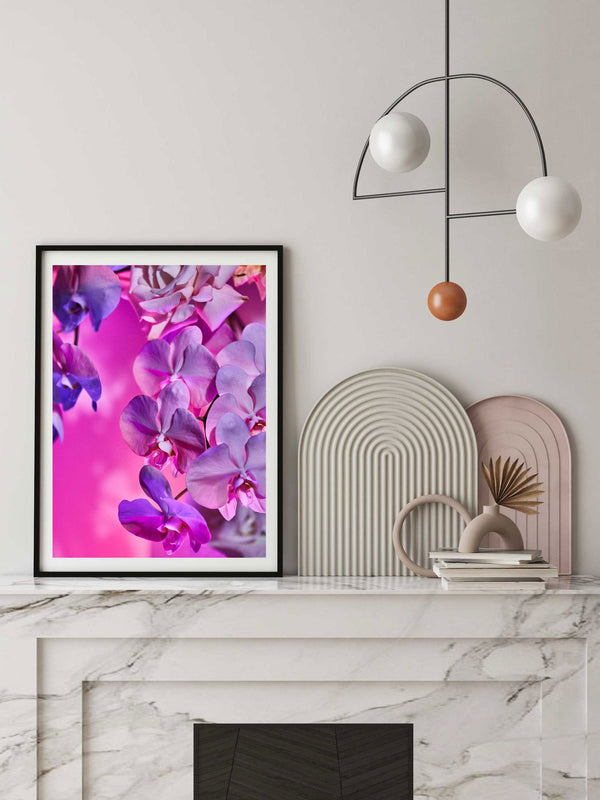 Giclée Studios, Giclee Print, Giclée Print, Australian Art Print, Shop Australian Art Prints, Best Floral Art Prints, Olive et Oriel Art Print, House of Spoils Print, Print Emporium, Dina Broadhurst Print, Temple & and Webster Art Print, Society6 Wall Art Prints, Fine Art Print, Photography Print, Modern Fine Art Prints, Flower Floral Artwork, Flower Floral Wall Art Print, Floral Print, Flower Floral Poster Art, Flower Floral Print, Acid Flowers Print Artwork, Flowers By Brett Matthew John Print Artwork