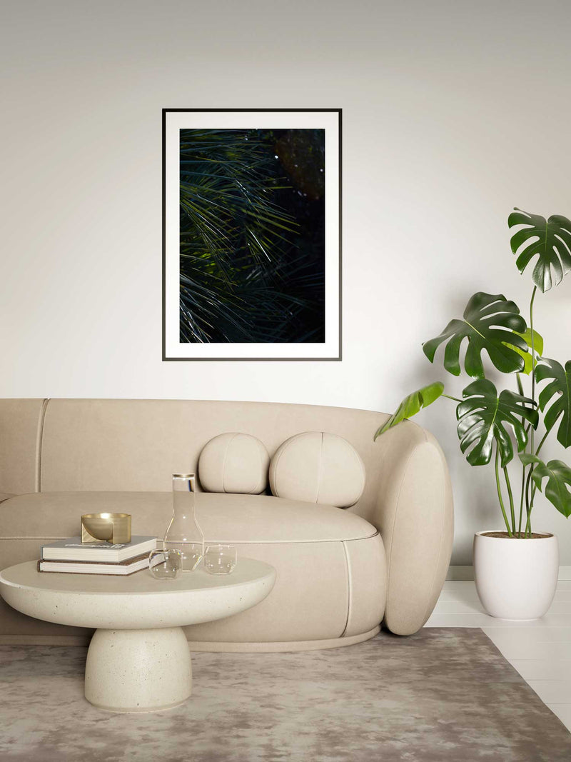 Botanical Fern 1