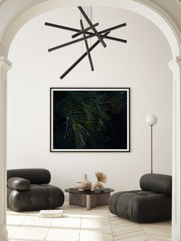 Botanical artwork, Botanical Fern Poster Art, Botanical Fern Art Print, Botanical Fern Artwork, Botanical Fern Wall Art Print, Botanical Fern photography print, interior design art prints, interior design wall art, home décor prints, home décor wall art, wall art prints, Melbourne Print Studio, Australian Wall Art Prints, Botanical Gardens Art print, Framed Botanical Print, Framed Fern Print Artwork, Giclee Studios Wall Art, Shop Art Print, Best Art Prints