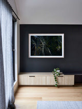 Botanical artwork, Botanical Fern Poster Art, Botanical Fern Art Print, Botanical Fern Artwork, Bo-tanical Fern Wall Art Print, Botanical Fern photography print, interior design art prints, interior de-sign wall art, home décor prints, home décor wall art, wall art prints, Melbourne Print Studio, Aus-tralian Wall Art Prints, Botanical Gardens Art print, Framed Botanical Print, Framed Fern Print Art-work, Giclee Studios Wall Art, Shop Art Print, Best Art Prints