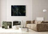 Botanical artwork, Botanical Fern Poster Art, Botanical Fern Art Print, Botanical Fern Artwork, Botanical Fern Wall Art Print, Botanical Fern photography print, interior design art prints, interior design wall art, home décor prints, home décor wall art, wall art prints, Melbourne Print Studio, Australian Wall Art Prints, Botanical Gardens Art print, Framed Botanical Print, Framed Fern Print Artwork, Giclee Studios Wall Art, Shop Art Print, Best Art Prints