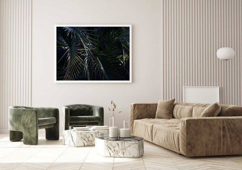 Botanical artwork, Botanical Fern Poster Art, Botanical Fern Art Print, Botanical Fern Artwork, Botanical Fern Wall Art Print, Botanical Fern photography print, interior design art prints, interior design wall art, home décor prints, home décor wall art, wall art prints, Melbourne Print Studio, Australian Wall Art Prints, Botanical Gardens Art print, Framed Botanical Print, Framed Fern Print Artwork, Giclee Studios Wall Art, Shop Art Print, Best Art Prints