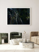 Botanical artwork, Botanical Fern Poster Art, Botanical Fern Art Print, Botanical Fern Artwork, Botanical Fern Wall Art Print, Botanical Fern photography print, interior design art prints, interior design wall art, home décor prints, home décor wall art, wall art prints, Melbourne Print Studio, Australian Wall Art Prints, Botanical Gardens Art print, Framed Botanical Print, Framed Fern Print Artwork, Giclee Studios Wall Art, Shop Art Print, Best Art Prints
