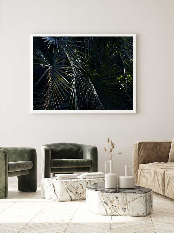 Botanical artwork, Botanical Fern Poster Art, Botanical Fern Art Print, Botanical Fern Artwork, Botanical Fern Wall Art Print, Botanical Fern photography print, interior design art prints, interior design wall art, home décor prints, home décor wall art, wall art prints, Melbourne Print Studio, Australian Wall Art Prints, Botanical Gardens Art print, Framed Botanical Print, Framed Fern Print Artwork, Giclee Studios Wall Art, Shop Art Print, Best Art Prints
