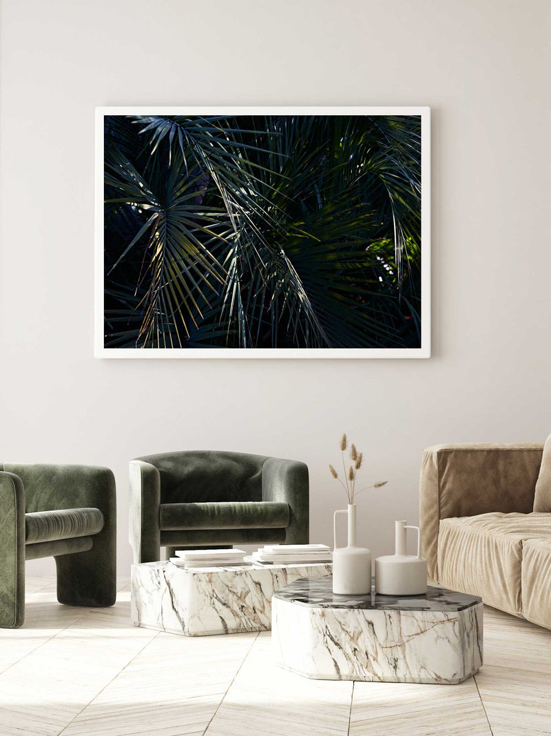Botanical artwork, Botanical Fern Poster Art, Botanical Fern Art Print, Botanical Fern Artwork, Botanical Fern Wall Art Print, Botanical Fern photography print, interior design art prints, interior design wall art, home décor prints, home décor wall art, wall art prints, Melbourne Print Studio, Australian Wall Art Prints, Botanical Gardens Art print, Framed Botanical Print, Framed Fern Print Artwork, Giclee Studios Wall Art, Shop Art Print, Best Art Prints
