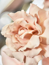 Giclée Studios, Giclée Print, Giclee Studios, Giclee Print, Flowers By Brett Matthew John, FBMJ, FBMJ X Giclée Studios Collab, Flower Art Print, Flower Still Life, Floral Art Print, Shop Australian Art, Australian Art Print, Melbourne Art Print, Olive et Oriel, Print Emporium, Dina Broadhurst Art, Quicksand Rose Print, Quicksand Rose Fine Art Print, Quicksand Rose Photography Print, Modern Art Prints, Acid Flowers, AF Flowers Art Print, Flower Fine-Art Print, Hattie Molloy Art Print, Vicki Lee Rose Print.