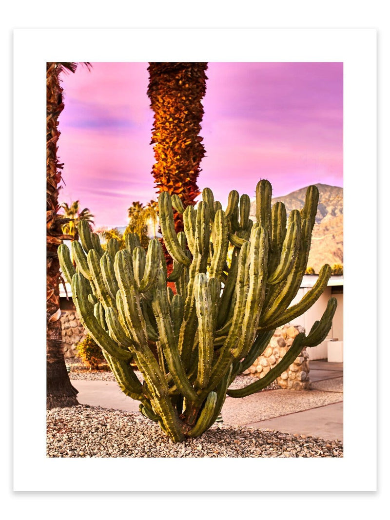 Palm Springs Cactus artwork, Palm Springs Cactus Poster Art, Palm Springs Cactus Art Print, Palm Springs Cactus Artwork, Cactus Photography Art Print, Cactus photography print, Palm Springs Cactus Street Wall Art Print, Cactus Art Print, Palm Springs Cactus art prints, Palm Springs Cactus wall art, Cactus print, Palm Springs wall art, Palm Springs Cactus wall art prints, Melbourne Print Studio, Australian Wall Art Prints, Los Angeles Wall Art, LA Art, fine-art wall décor.