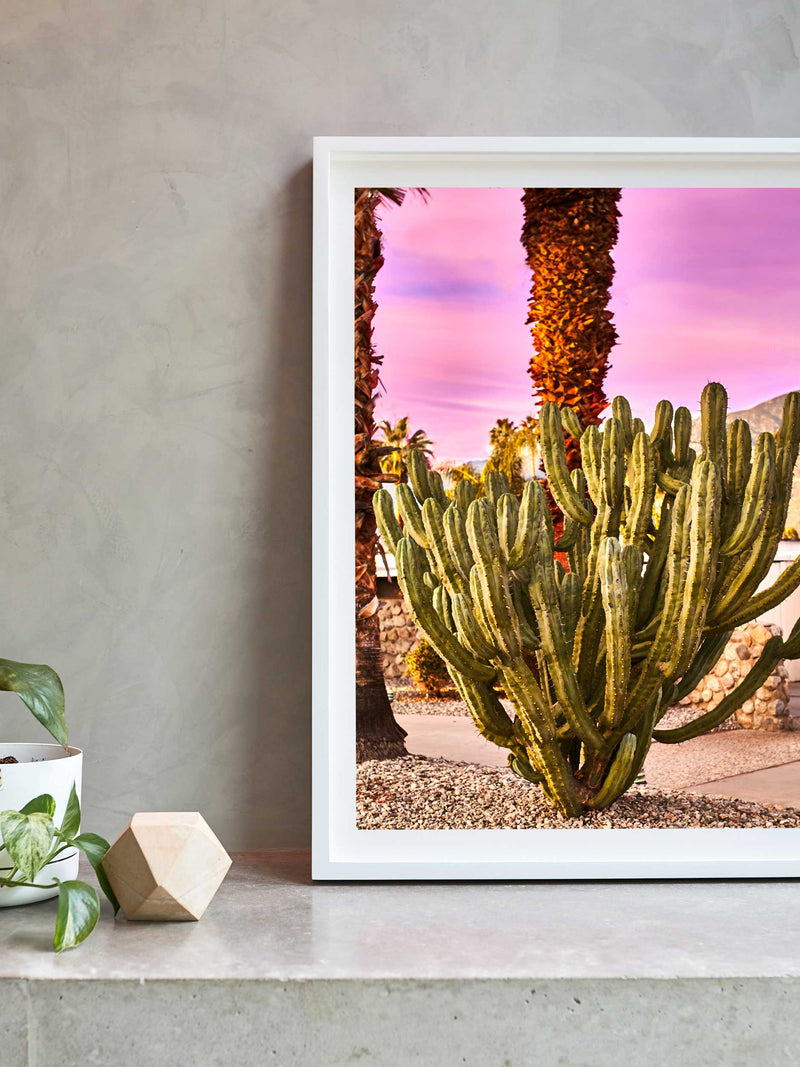 Palm Springs Cactus artwork, Palm Springs Cactus Poster Art, Palm Springs Cactus Art Print, Palm Springs Cactus Artwork, Cactus Photography Art Print, Cactus photography print, Palm Springs Cactus Street Wall Art Print, Cactus Art Print, Palm Springs Cactus art prints, Palm Springs Cactus wall art, Cactus print, Palm Springs wall art, Palm Springs Cactus wall art prints, Melbourne Print Studio, Australian Wall Art Prints, Los Angeles Wall Art, LA Art, fine-art wall décor.