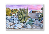 Cactus Sunset House