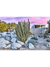 Giclee Studios, Giclée Studios, Giclée Print, Shop Palm Springs Art Prints, Shop Palm Springs Poster Art Prints, Palm Springs Art Print, Kaufmann Desert House, Slim Aarons Art Print, Julius Shulman Art Print, Olive et Oriel Art Print, Print Emporium Art Print, Buy Palm Springs Artworks, Society6, Temple & Webster, Fine Art Print, Modern Fine Art Prints, Palm Springs Artwork, Palm Springs Wall Art Print, Palm Springs Architecture Print, Slim Aarons Wall Print, Tom Blachford Palm Springs Midnight Modern
