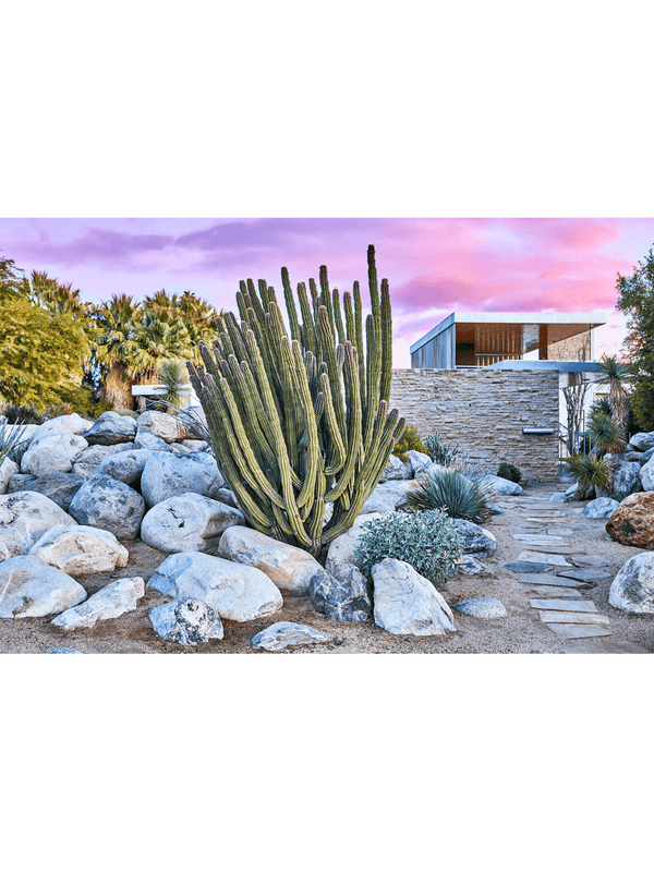 Giclee Studios, Giclée Studios, Giclée Print, Shop Palm Springs Art Prints, Shop Palm Springs Poster Art Prints, Palm Springs Art Print, Kaufmann Desert House, Slim Aarons Art Print, Julius Shulman Art Print, Olive et Oriel Art Print, Print Emporium Art Print, Buy Palm Springs Artworks, Society6, Temple & Webster, Fine Art Print, Modern Fine Art Prints, Palm Springs Artwork, Palm Springs Wall Art Print, Palm Springs Architecture Print, Slim Aarons Wall Print, Tom Blachford Palm Springs Midnight Modern
