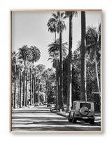 Best art prints LA Black and White Print Palm Print Hollywood Hills Wall Art Hollywood Hills LA Artwork Print Los Angeles Artwork Wall Art Famous Wall Art Print Best Designer Art Print Best LA Artworks Affordable Artworks LA Palm Tree Print Art The Block Artwork Australia Art Print Interior Design Prints The Block Australia Artwork Palm Tree Print Home Décor Print Best Art Print Hollywood Photography Print Designer Hollywood Art LA Palm Tree Photography Print Poster Olive et Oriel Print Emporium
