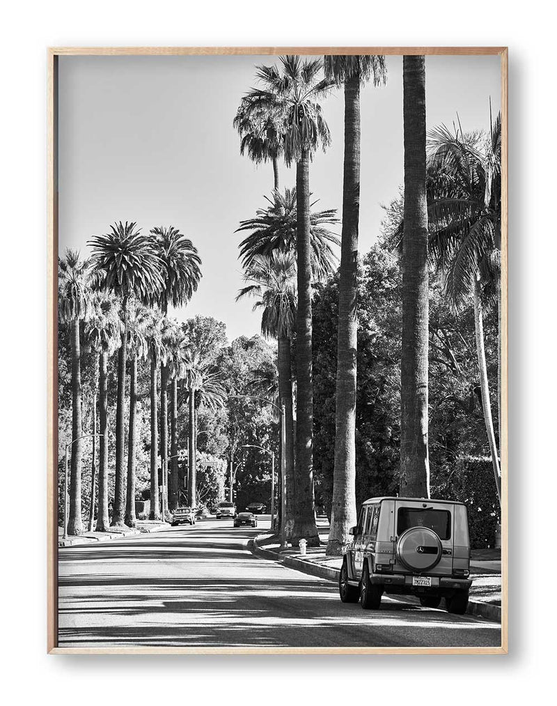 Best art prints LA Black and White Print Palm Print Hollywood Hills Wall Art Hollywood Hills LA Artwork Print Los Angeles Artwork Wall Art Famous Wall Art Print Best Designer Art Print Best LA Artworks Affordable Artworks LA Palm Tree Print Art The Block Artwork Australia Art Print Interior Design Prints The Block Australia Artwork Palm Tree Print Home Décor Print Best Art Print Hollywood Photography Print Designer Hollywood Art LA Palm Tree Photography Print Poster Olive et Oriel Print Emporium