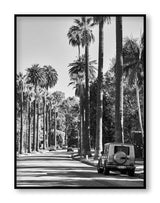 Best art prints LA Black and White Print Palm Print Hollywood Hills Wall Art Hollywood Hills LA Artwork Print Los Angeles Artwork Wall Art Famous Wall Art Print Best Designer Art Print Best LA Artworks Affordable Artworks LA Palm Tree Print Art The Block Artwork Australia Art Print Interior Design Prints The Block Australia Artwork Palm Tree Print Home Décor Print Best Art Print Hollywood Photography Print Designer Hollywood Art LA Palm Tree Photography Print Poster Olive et Oriel Print Emporium