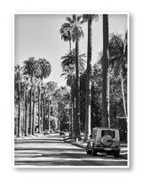 Best art prints LA Black and White Print Palm Print Hollywood Hills Wall Art Hollywood Hills LA Artwork Print Los Angeles Artwork Wall Art Famous Wall Art Print Best Designer Art Print Best LA Artworks Affordable Artworks LA Palm Tree Print Art The Block Artwork Australia Art Print Interior Design Prints The Block Australia Artwork Palm Tree Print Home Décor Print Best Art Print Hollywood Photography Print Designer Hollywood Art LA Palm Tree Photography Print Poster Olive et Oriel Print Emporium