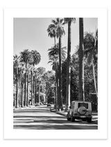 Canon Drive