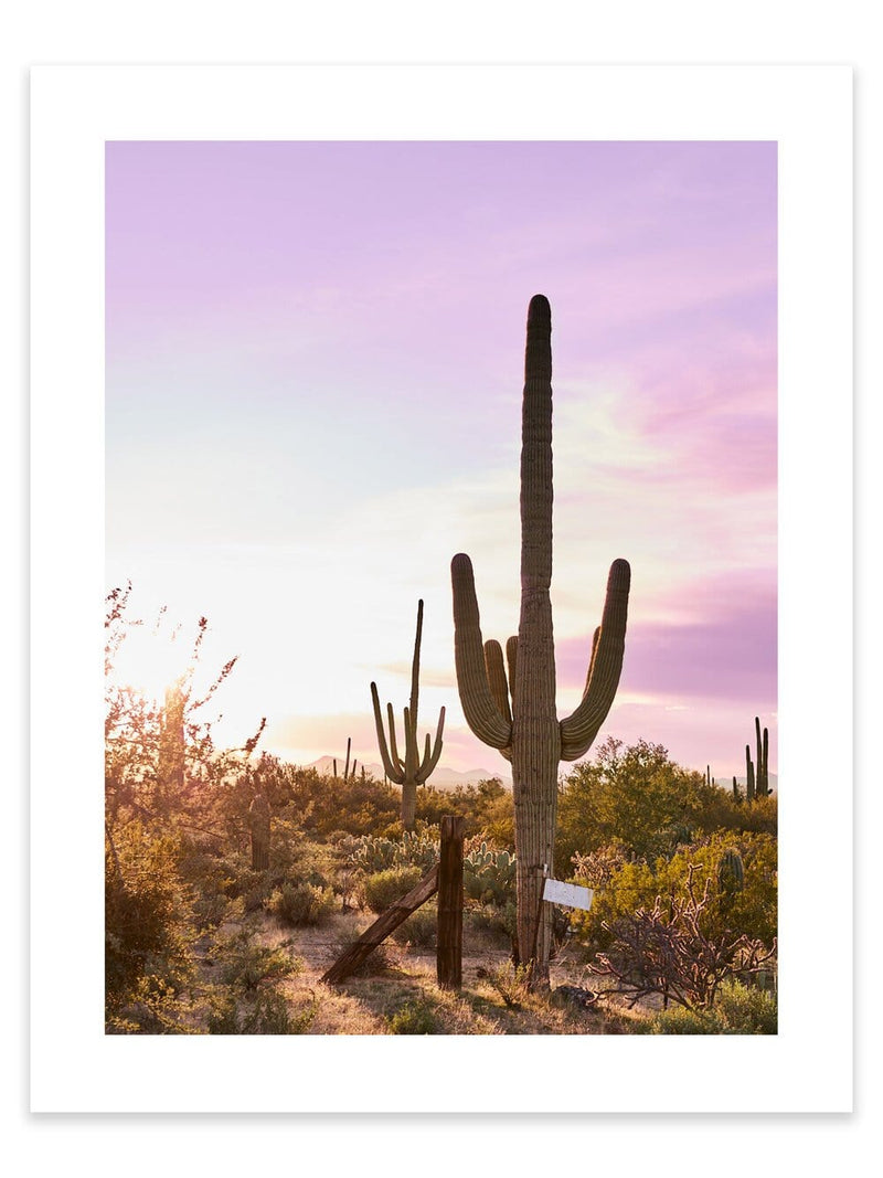 Tucson Desert Cactus artwork, Arizona Desert Cactus Poster Art, Cactus Art Print, Tucson Desert Cactus Artwork, Desert Cactus Art Print, Desert Cactus photography print, Desert Cactus Wall Art Print, Desert Cactus Art Print, Desert Cactus art prints, Desert Cactus wall art, Desert Cactus print, Desert Cactus wall art, Desert Cactus wall art prints, Melbourne Print Studio, Australian Wall Art Prints, Los Angeles Wall Art, LA Art, fine-art wall décor.