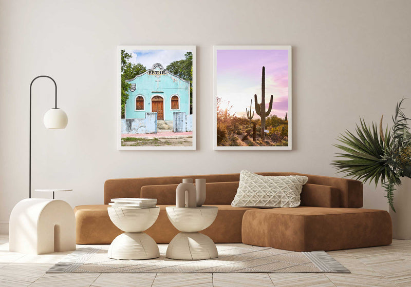 Desert Cactus