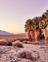 Desert Sunset artwork, Desert Sunrise artwork, Desert Sunset Poster Art, Desert Sunset Art Print, Desert Sunset Artwork, Desert Sunset Photography Art Print, Desert Sunrise Photography Art Print , Desert Sunset photography print, Desert Sunset Street Wall Art Print, Desert Sunset Art Print, Desert Sunset art prints, Desert Sunset wall art, Desert Sunset print, Desert Sunset wall art prints, Melbourne Print Studio, Australian Wall Art Prints, Los Angeles Wall Art, LA Art, fine-art wall décor.