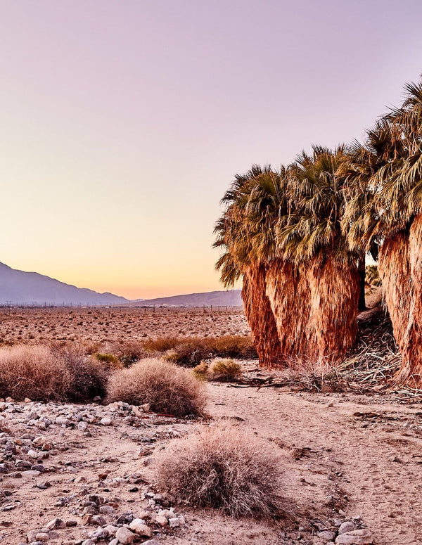 Desert Sunset artwork, Desert Sunrise artwork, Desert Sunset Poster Art, Desert Sunset Art Print, Desert Sunset Artwork, Desert Sunset Photography Art Print, Desert Sunrise Photography Art Print , Desert Sunset photography print, Desert Sunset Street Wall Art Print, Desert Sunset Art Print, Desert Sunset art prints, Desert Sunset wall art, Desert Sunset print, Desert Sunset wall art prints, Melbourne Print Studio, Australian Wall Art Prints, Los Angeles Wall Art, LA Art, fine-art wall décor.