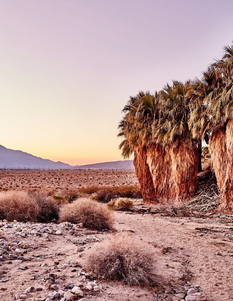 Desert Sunset artwork, Desert Sunrise artwork, Desert Sunset Poster Art, Desert Sunset Art Print, Desert Sunset Artwork, Desert Sunset Photography Art Print, Desert Sunrise Photography Art Print , Desert Sunset photography print, Desert Sunset Street Wall Art Print, Desert Sunset Art Print, Desert Sunset art prints, Desert Sunset wall art, Desert Sunset print, Desert Sunset wall art prints, Melbourne Print Studio, Australian Wall Art Prints, Los Angeles Wall Art, LA Art, fine-art wall décor.