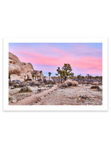 Best Joshua Tree Art Prints, Photography art print Joshua Tree Palm Springs, California Los Angeles Art Print, Joshua Tree Home décor interior design print artwork, Palm Springs Wall Art, Palm Springs Artwork, Palm Springs Art Print, Palm Springs Desert Poster, Olive Et Oriel Art Print, Best Joshua Tree Prints, Giclee Studios Art Prints, Wall art home décor print interior design, Buy Best Art Prints, Sunset Desert Print, Sunrise Joshua Tree Art print