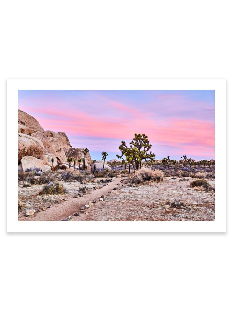 Best Joshua Tree Art Prints, Photography art print Joshua Tree Palm Springs, California Los Angeles Art Print, Joshua Tree Home décor interior design print artwork, Palm Springs Wall Art, Palm Springs Artwork, Palm Springs Art Print, Palm Springs Desert Poster, Olive Et Oriel Art Print, Best Joshua Tree Prints, Giclee Studios Art Prints, Wall art home décor print interior design, Buy Best Art Prints, Sunset Desert Print, Sunrise Joshua Tree Art print