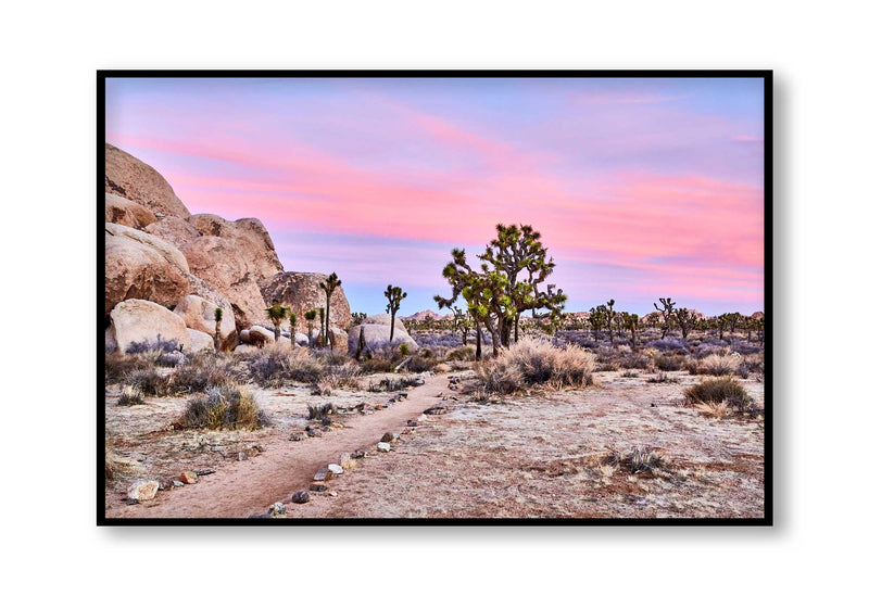 Best Joshua Tree Art Prints, Photography art print Joshua Tree Palm Springs, California Los Angeles Art Print, Joshua Tree Home décor interior design print artwork, Palm Springs Wall Art, Palm Springs Artwork, Palm Springs Art Print, Palm Springs Desert Poster, Olive Et Oriel Art Print, Best Joshua Tree Prints, Giclee Studios Art Prints, Wall art home décor print interior design, Buy Best Art Prints, Sunset Desert Print, Sunrise Joshua Tree Art print