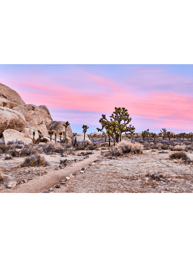 Best Joshua Tree Art Prints, Photography art print Joshua Tree Palm Springs, California Los Angeles Art Print, Joshua Tree Home décor interior design print artwork, Palm Springs Wall Art, Palm Springs Artwork, Palm Springs Art Print, Palm Springs Desert Poster, Olive Et Oriel Art Print, Best Joshua Tree Prints, Giclee Studios Art Prints, Wall art home décor print interior design, Buy Best Art Prints, Sunset Desert Print, Sunrise Joshua Tree Art print