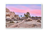 Best Joshua Tree Art Prints, Photography art print Joshua Tree Palm Springs, California Los Angeles Art Print, Joshua Tree Home décor interior design print artwork, Palm Springs Wall Art, Palm Springs Artwork, Palm Springs Art Print, Palm Springs Desert Poster, Olive Et Oriel Art Print, Best Joshua Tree Prints, Giclee Studios Art Prints, Wall art home décor print interior design, Buy Best Art Prints, Sunset Desert Print, Sunrise Joshua Tree Art print