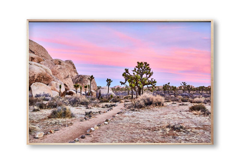 Best Joshua Tree Art Prints, Photography art print Joshua Tree Palm Springs, California Los Angeles Art Print, Joshua Tree Home décor interior design print artwork, Palm Springs Wall Art, Palm Springs Artwork, Palm Springs Art Print, Palm Springs Desert Poster, Olive Et Oriel Art Print, Best Joshua Tree Prints, Giclee Studios Art Prints, Wall art home décor print interior design, Buy Best Art Prints, Sunset Desert Print, Sunrise Joshua Tree Art print
