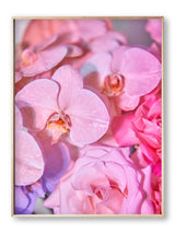 Giclée Studios, Giclee Print, Giclée Print, Australian Art Print, Shop Australian Art Prints, Best Floral Art Prints, Olive et Oriel Art Print, House of Spoils Print, Print Emporium, Dina Broadhurst Print, Temple & and Webster Art Print, Society6 Wall Art Prints, Fine Art Print, Photography Print, Modern Fine Art Prints, Flower Floral Artwork, Flower Floral Wall Art Print, Floral Print, Flower Floral Poster Art, Flower Floral Print, Acid Flowers Print Artwork, Flowers By Brett Matthew John Print Artwork