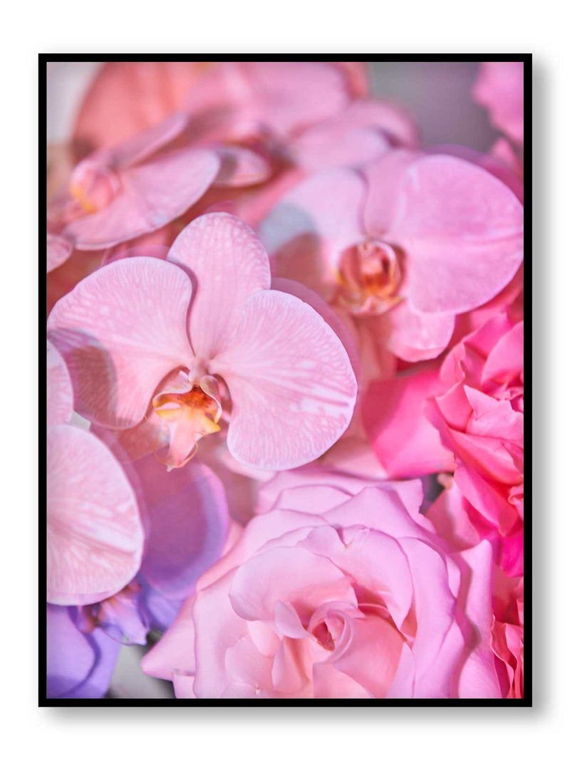 Giclée Studios, Giclee Print, Giclée Print, Australian Art Print, Shop Australian Art Prints, Best Floral Art Prints, Olive et Oriel Art Print, House of Spoils Print, Print Emporium, Dina Broadhurst Print, Temple & and Webster Art Print, Society6 Wall Art Prints, Fine Art Print, Photography Print, Modern Fine Art Prints, Flower Floral Artwork, Flower Floral Wall Art Print, Floral Print, Flower Floral Poster Art, Flower Floral Print, Acid Flowers Print Artwork, Flowers By Brett Matthew John Print Artwork