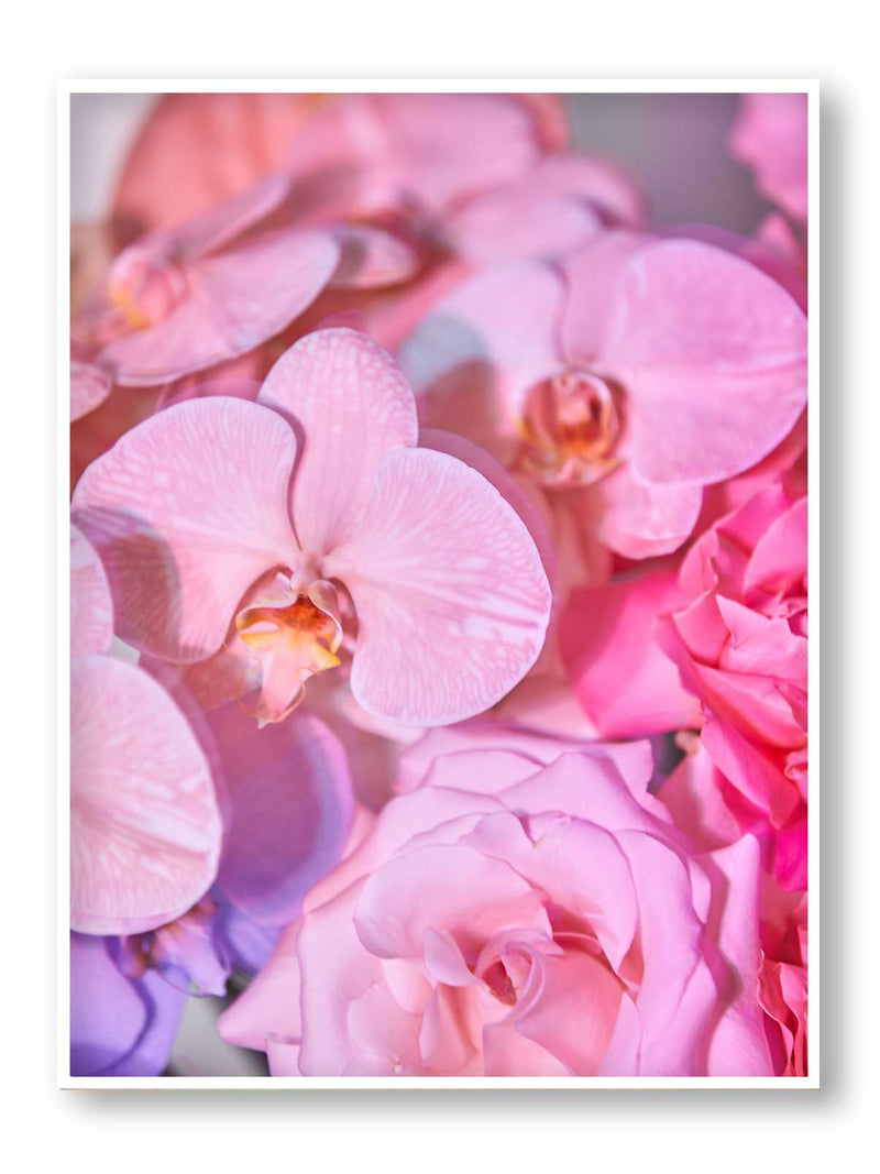 Giclée Studios, Giclee Print, Giclée Print, Australian Art Print, Shop Australian Art Prints, Best Floral Art Prints, Olive et Oriel Art Print, House of Spoils Print, Print Emporium, Dina Broadhurst Print, Temple & and Webster Art Print, Society6 Wall Art Prints, Fine Art Print, Photography Print, Modern Fine Art Prints, Flower Floral Artwork, Flower Floral Wall Art Print, Floral Print, Flower Floral Poster Art, Flower Floral Print, Acid Flowers Print Artwork, Flowers By Brett Matthew John Print Artwork