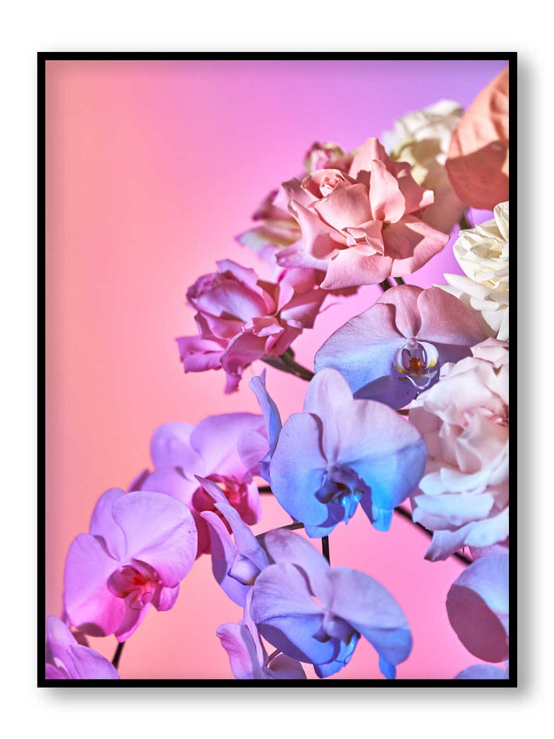 Giclée Studios, Giclee Print, Giclée Print, Australian Art Print, Shop Australian Art Prints, Best Floral Art Prints, Olive et Oriel Art Print, House of Spoils Print, Print Emporium, Dina Broadhurst Print, Temple & and Webster Art Print, Society6 Wall Art Prints, Fine Art Print, Photography Print, Modern Fine Art Prints, Flower Floral Artwork, Flower Floral Wall Art Print, Floral Print, Flower Floral Poster Art, Flower Floral Print, Acid Flowers Print Artwork, Flowers By Brett Matthew John Print Artwork