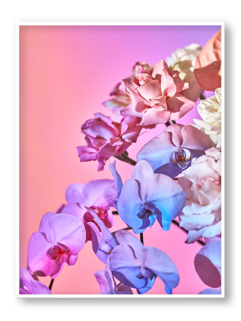 Giclée Studios, Giclee Print, Giclée Print, Australian Art Print, Shop Australian Art Prints, Best Floral Art Prints, Olive et Oriel Art Print, House of Spoils Print, Print Emporium, Dina Broadhurst Print, Temple & and Webster Art Print, Society6 Wall Art Prints, Fine Art Print, Photography Print, Modern Fine Art Prints, Flower Floral Artwork, Flower Floral Wall Art Print, Floral Print, Flower Floral Poster Art, Flower Floral Print, Acid Flowers Print Artwork, Flowers By Brett Matthew John Print Artwork