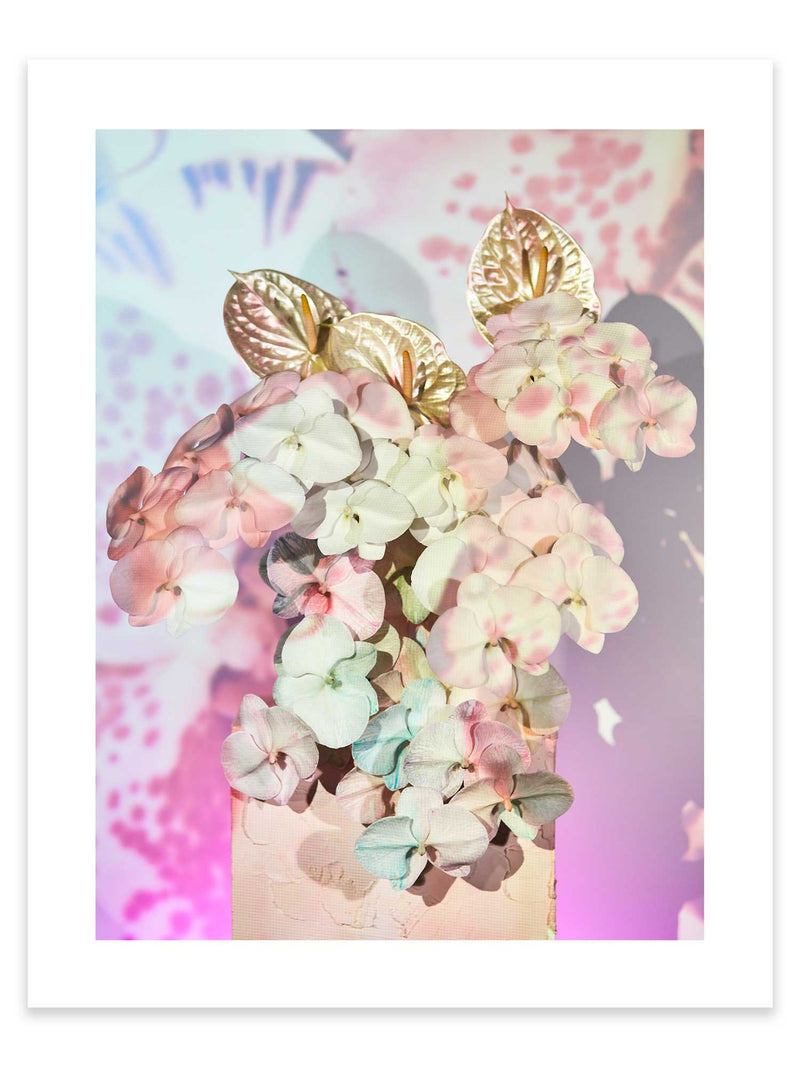 Giclée Studios, Giclée Print, Giclee Studios, Giclee Print, Flowers By Brett Matthew John, FBMJ, FBMJ X Giclée Studios Collab, Flower Art Print, Flower Still Life, Floral Art Print, Shop Australian Art, Australian Art Print, Melbourne Art Print, Olive et Oriel, Print Emporium, Dina Broadhurst Art, Quicksand Rose Print, Quicksand Rose Fine Art Print, Quicksand Rose Photography Print, Modern Art Prints, Acid Flowers, AF Flowers Art Print, Flower Fine-Art Print, Hattie Molloy Art Print, Vicki Lee Rose Print.