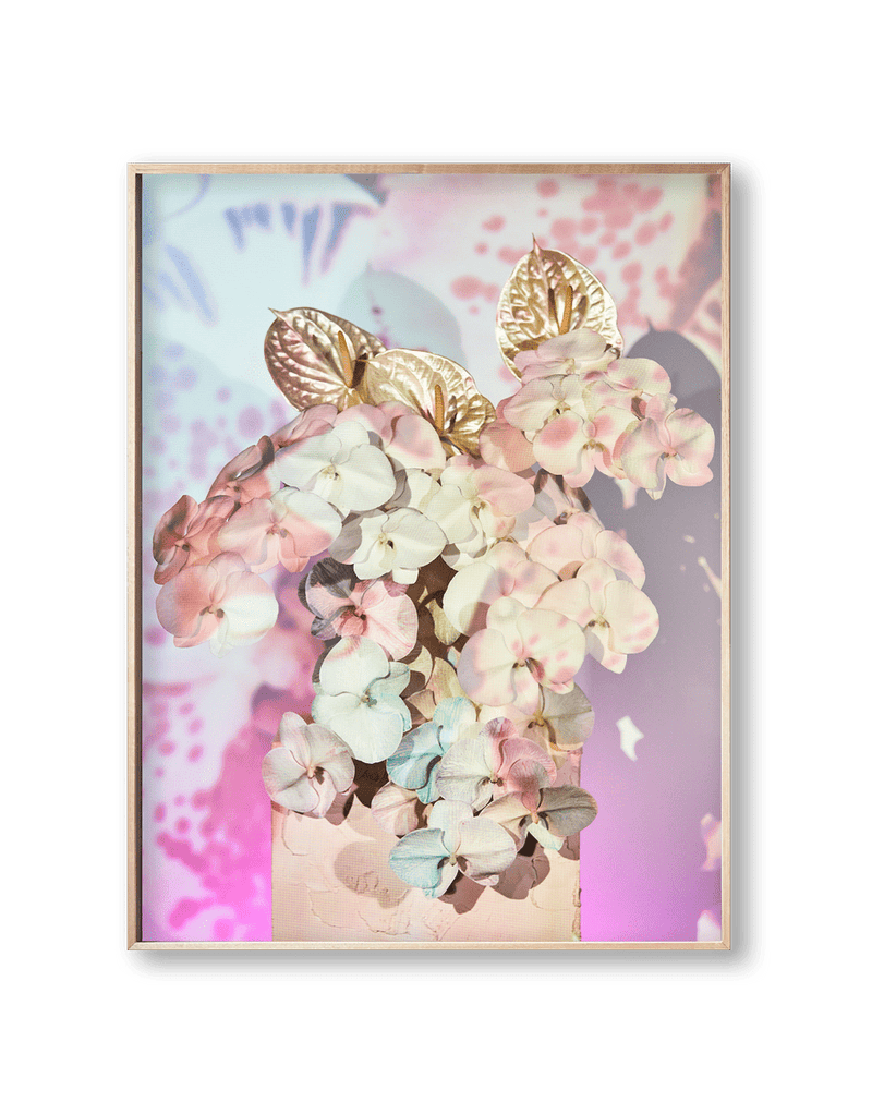 Giclée Studios, Giclée Print, Giclee Studios, Giclee Print, Flowers By Brett Matthew John, FBMJ, FBMJ X Giclée Studios Collab, Flower Art Print, Flower Still Life, Floral Art Print, Shop Australian Art, Australian Art Print, Melbourne Art Print, Olive et Oriel, Print Emporium, Dina Broadhurst Art, Quicksand Rose Print, Quicksand Rose Fine Art Print, Quicksand Rose Photography Print, Modern Art Prints, Acid Flowers, AF Flowers Art Print, Flower Fine-Art Print, Hattie Molloy Art Print, Vicki Lee Rose Print.