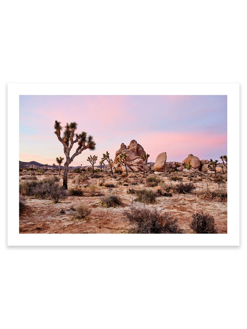 Best Joshua tree art prints, best wall art prints, Giclee Studios, Sunset print, sunrise print, skyscape photography print, fashion prints, interior design prints, interior design wall art, home décor prints, home décor wall art, wall art prints, Melbourne Print Studio, Australian Wall Prints, Los Angeles Wall Art, LA Art, Print Emporium, Olive Et Oriel, fine art photography wall art prints, framed art prints Melbourne