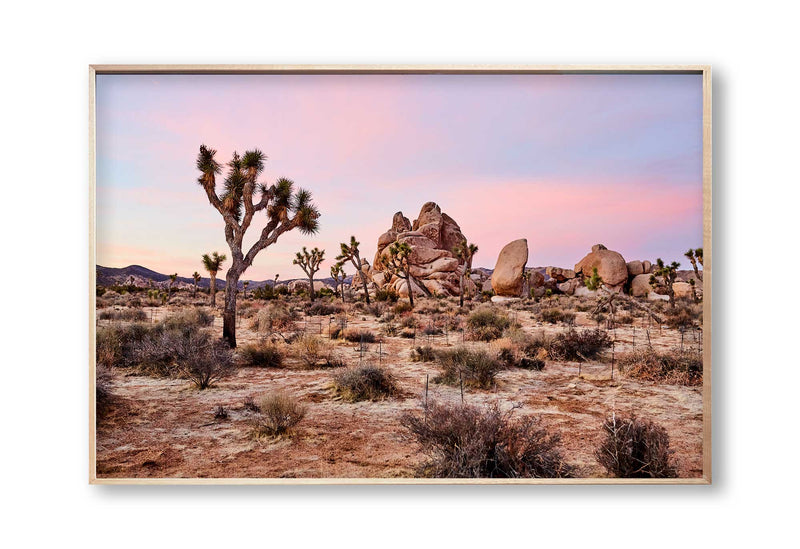 Best Joshua tree art prints, best wall art prints, Giclee Studios, Sunset print, sunrise print, skyscape photography print, fashion prints, interior design prints, interior design wall art, home décor prints, home décor wall art, wall art prints, Melbourne Print Studio, Australian Wall Prints, Los Angeles Wall Art, LA Art, Print Emporium, Olive Et Oriel, fine art photography wall art prints, framed art prints Melbourne