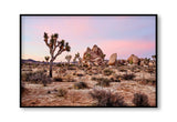Best Joshua tree art prints, best wall art prints, Giclee Studios, Sunset print, sunrise print, skyscape photography print, fashion prints, interior design prints, interior design wall art, home décor prints, home décor wall art, wall art prints, Melbourne Print Studio, Australian Wall Prints, Los Angeles Wall Art, LA Art, Print Emporium, Olive Et Oriel, fine art photography wall art prints, framed art prints Melbourne