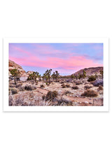 Best Joshua tree art prints, best wall art prints, Giclee Studios, Sunset print, sunrise print, skyscape photography print, fashion prints, interior design prints, interior design wall art, home décor prints, home décor wall art, wall art prints, Melbourne Print Studio, Australian Wall Prints, Los Angeles Wall Art, LA Art, Print Emporium, Olive Et Oriel, fine art photography wall art prints, framed art prints Melbourne