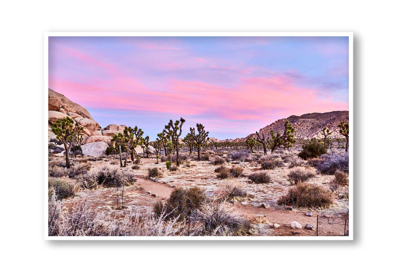 Best Joshua tree art prints, best wall art prints, Giclee Studios, Sunset print, sunrise print, skyscape photography print, fashion prints, interior design prints, interior design wall art, home décor prints, home décor wall art, wall art prints, Melbourne Print Studio, Australian Wall Prints, Los Angeles Wall Art, LA Art, Print Emporium, Olive Et Oriel, fine art photography wall art prints, framed art prints Melbourne