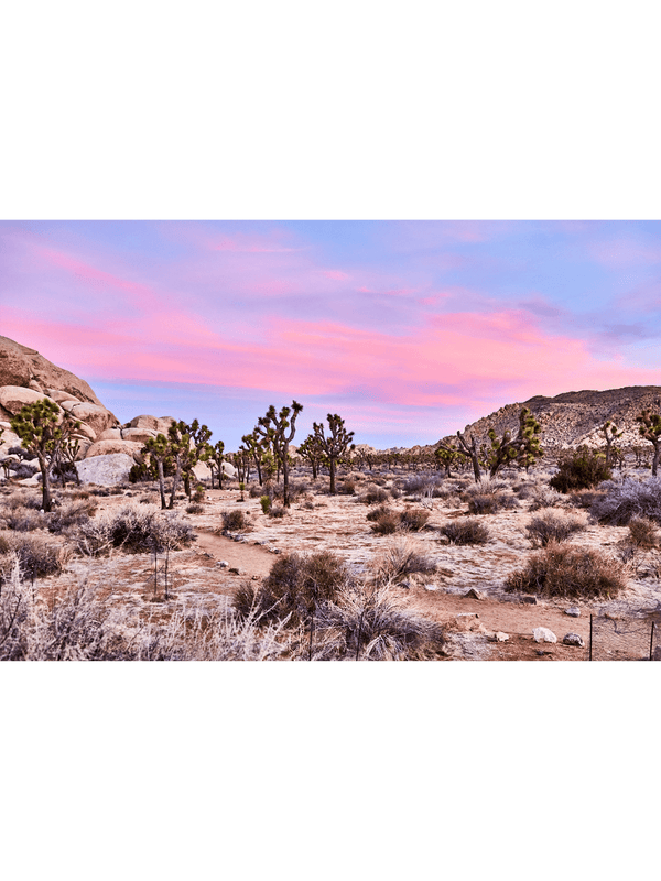 Best Joshua tree art prints, best wall art prints, Giclee Studios, Sunset print, sunrise print, skyscape photography print, fashion prints, interior design prints, interior design wall art, home décor prints, home décor wall art, wall art prints, Melbourne Print Studio, Australian Wall Prints, Los Angeles Wall Art, LA Art, Print Emporium, Olive Et Oriel, fine art photography wall art prints, framed art prints Melbourne