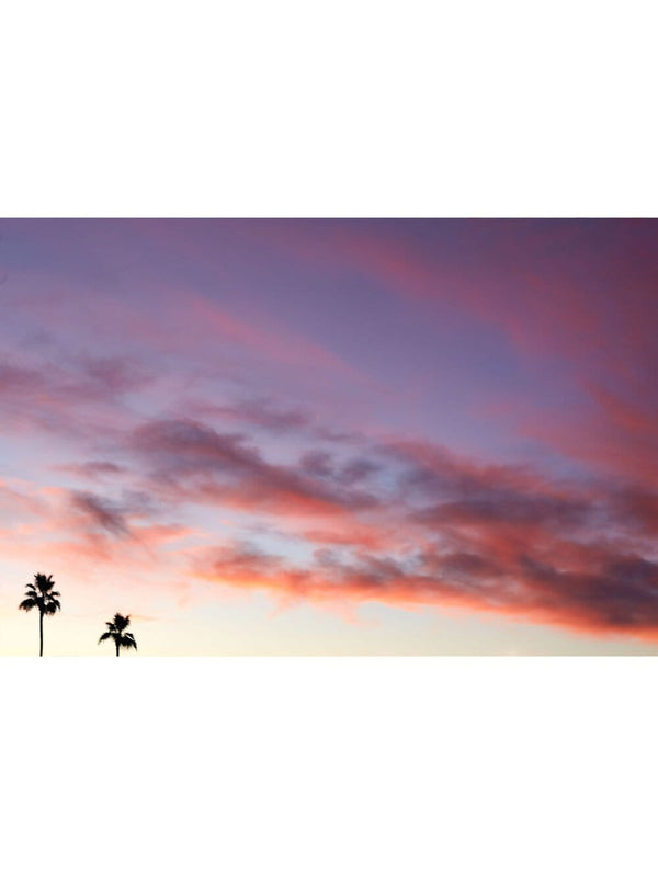 LA Palms Sunset