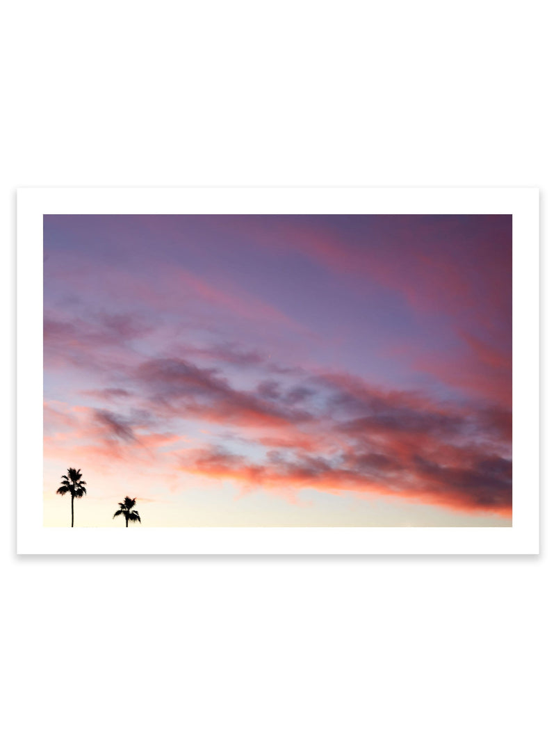 LA Palms Sunset
