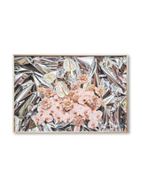 Giclée Studios, Giclée Print, Giclee Studios, Giclee Print, Flowers By Brett Matthew John, FBMJ, FBMJ X Giclée Studios collab, Flower Art Print, Flower Still Life, Floral Art Print, Shop Australian Art, Australian Art Print, Melbourne Art Print, Olive et Oriel, Print Emporium, Dina Broadhurst Art, Temple and Webster, Society6 Wall Art Prints, Fine Art Print, Photography Print, Modern Art Prints, Acid Flowers, AF Flowers Art Print, Flower Fine-Art Print, Hattie Molloy Art Print, Floating Flowers