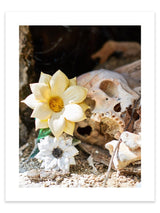 Mexico Skull artwork, Mexico Skull Poster Art, Mexico Skull Art Print, Mexico Skull Artwork, Mexico Skull Photography Art Print, Mexico Skull photography print, Mexico Skull Street Wall Art Print, Cactus Art Print, Mexican Flower Skull art prints, Mexican Flower Skull wall art, Mexican Flower Skull print, Mexican Flower Skull wall art, Mexican Flower Skull wall art prints, Melbourne Print Studio, Australian Wall Art Prints, Los Angeles Wall Art, LA Art, fine-art wall décor.
