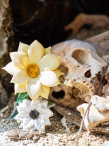 Mexico Skull artwork, Mexico Skull Poster Art, Mexico Skull Art Print, Mexico Skull Artwork, Mexico Skull Photography Art Print, Mexico Skull photography print, Mexico Skull Street Wall Art Print, Cactus Art Print, Mexican Flower Skull art prints, Mexican Flower Skull wall art, Mexican Flower Skull print, Mexican Flower Skull wall art, Mexican Flower Skull wall art prints, Melbourne Print Studio, Australian Wall Art Prints, Los Angeles Wall Art, LA Art, fine-art wall décor.