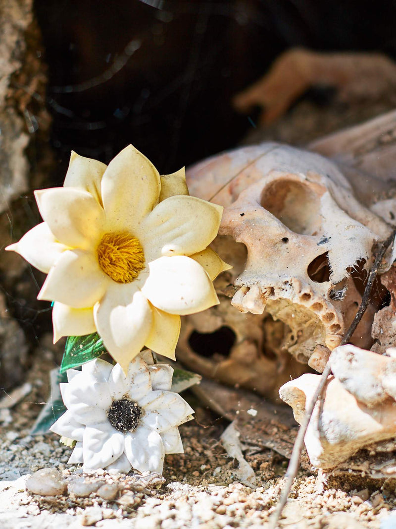 Mexico Skull artwork, Mexico Skull Poster Art, Mexico Skull Art Print, Mexico Skull Artwork, Mexico Skull Photography Art Print, Mexico Skull photography print, Mexico Skull Street Wall Art Print, Cactus Art Print, Mexican Flower Skull art prints, Mexican Flower Skull wall art, Mexican Flower Skull print, Mexican Flower Skull wall art, Mexican Flower Skull wall art prints, Melbourne Print Studio, Australian Wall Art Prints, Los Angeles Wall Art, LA Art, fine-art wall décor.